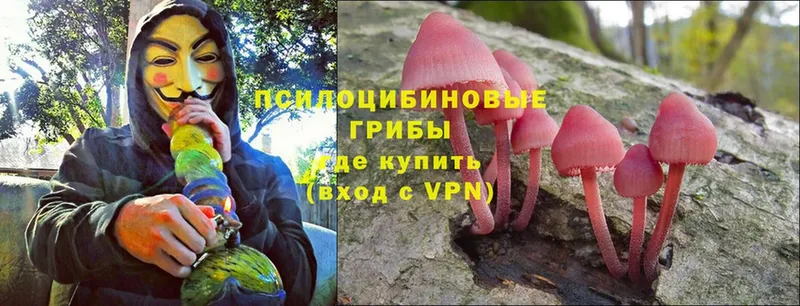 Псилоцибиновые грибы Magic Shrooms  Ялуторовск 