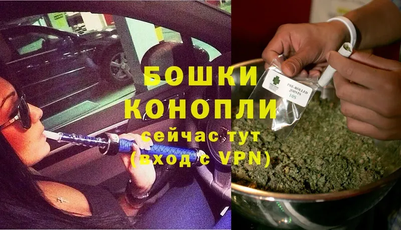 где можно купить наркотик  Ялуторовск  Шишки марихуана OG Kush 